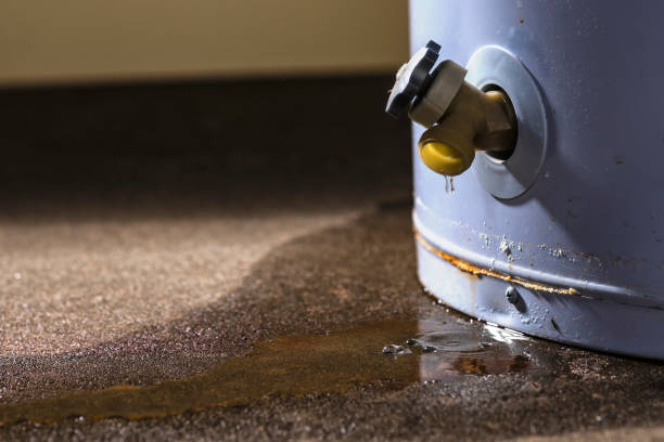 Best Commercial water damage restoration  in Carlinvle, IL