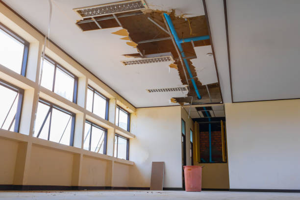 Best Sewage cleanup and water damage restoration  in Carlinvle, IL