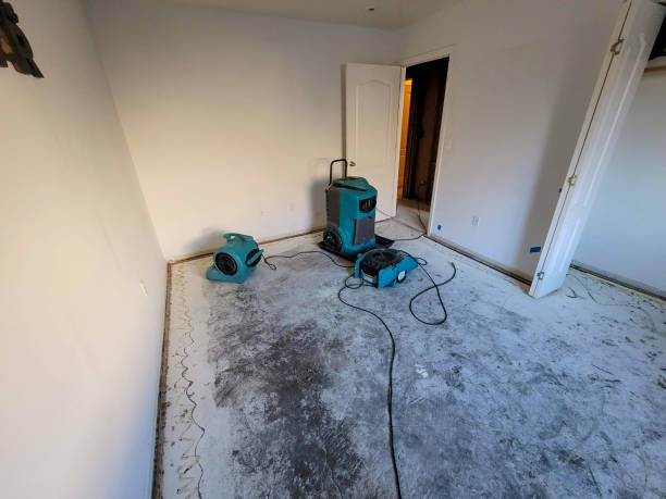  Carlinvle, IL Water damage restoration Pros