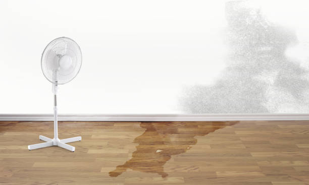 Best Sewage cleanup and water damage restoration  in Carlinvle, IL